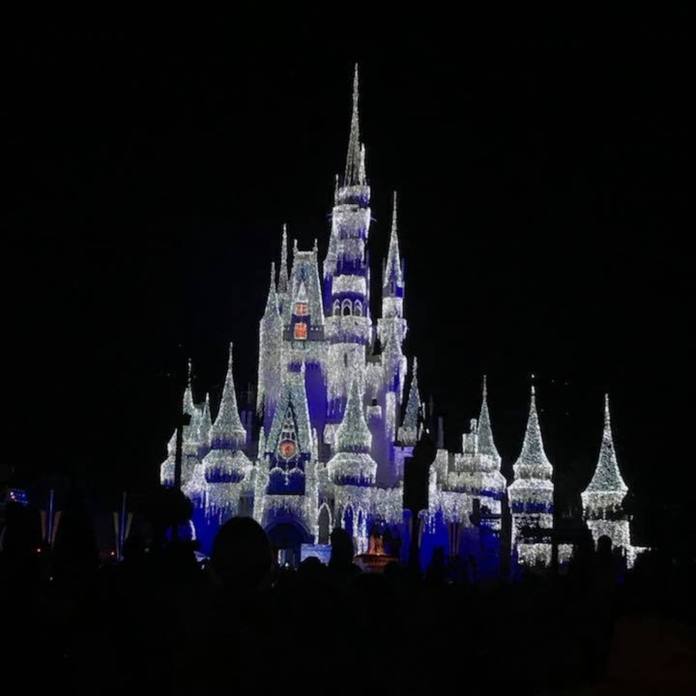 Meet your Posher, Renee